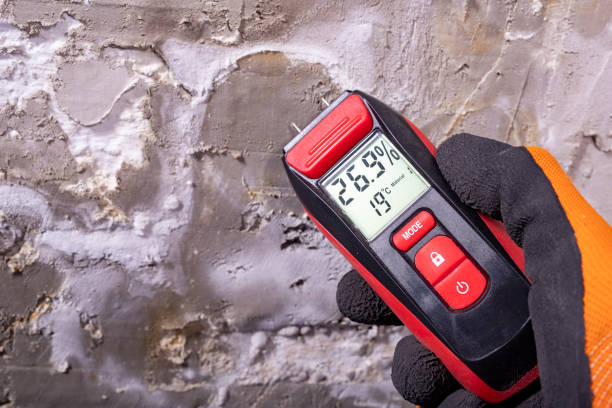 Best Residential Mold Remediation in Brown Deer, WI