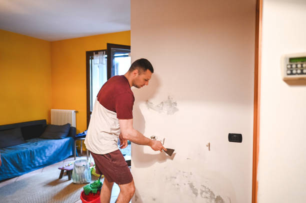 Best DIY Mold Remediation Support Services in Brown Deer, WI